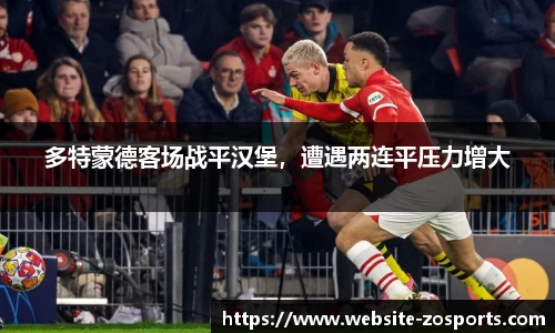 中欧体育官网