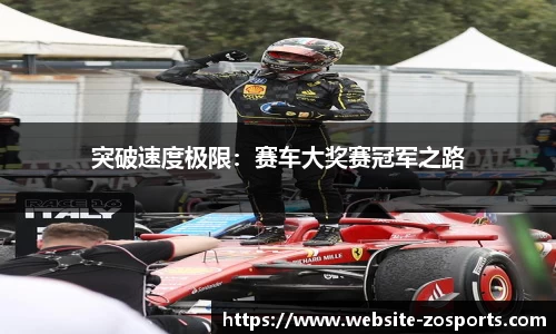 中欧体育官网