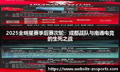 中欧体育公司
